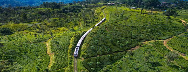 我行我素 素食旅遊 斯里蘭卡12 天|阿努拉德普勒、坎達拉瑪 、霍頓自然生態之旅12 天(含導領服務費、行李小費、網路SIM卡)